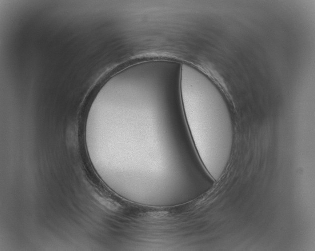 X0000074320108200608251041