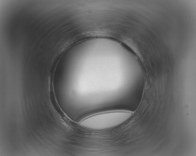 X0000074320109200608251041