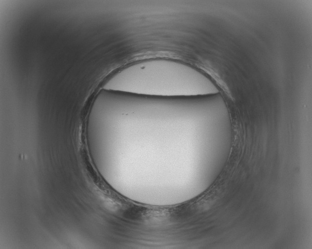 X0000074320110200608251041
