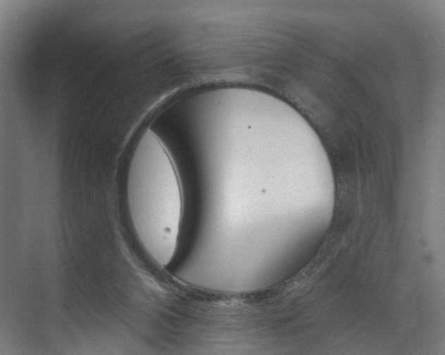 X0000074320112200608251041