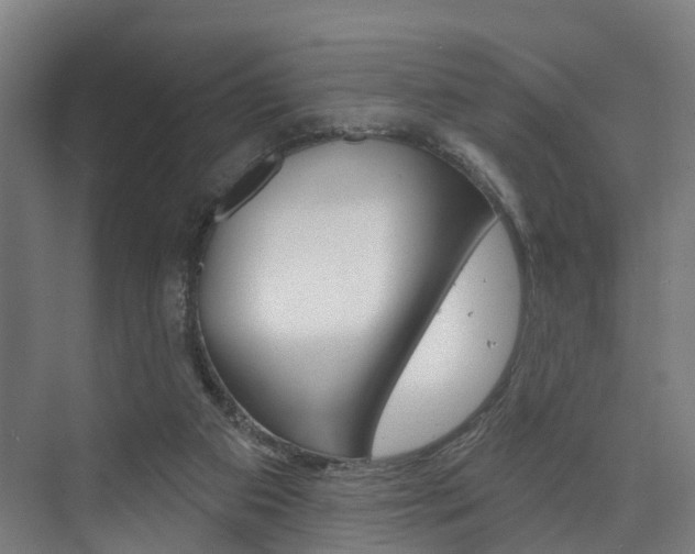 X0000074320113200608251041