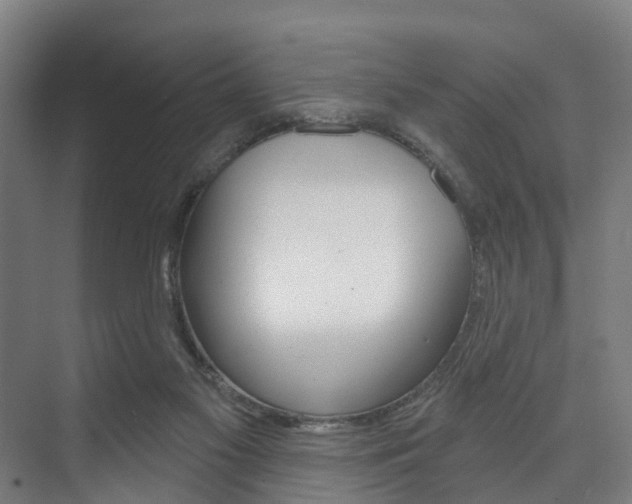 X0000074320117200608251040