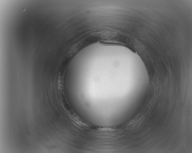 X0000074320137200608251040
