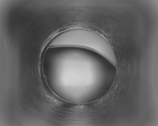 X0000074320152200608251039