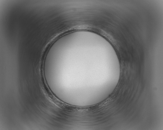 X0000074320155200608251039