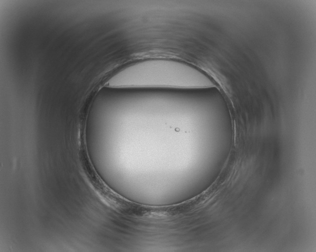 X0000074320157200608251039