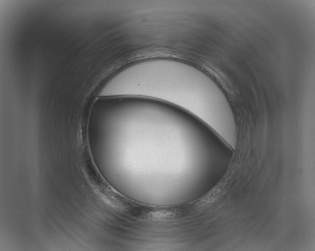 X0000074320158200608251039