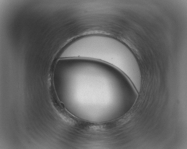 X0000074320160200608251039