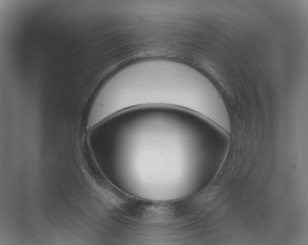 X0000074320164200608251040