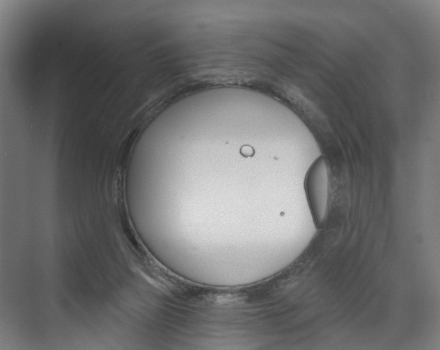 X0000074320165200608251040