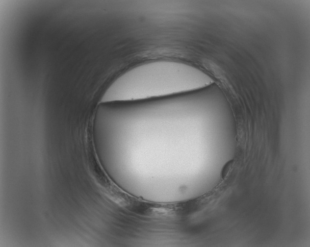 X0000074320167200608251040