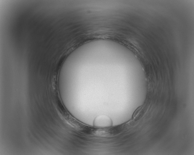 X0000074320171200608251040