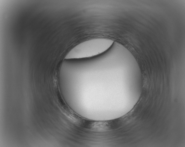 X0000074320179200608251040