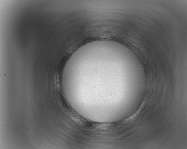 X0000074320182200608251040