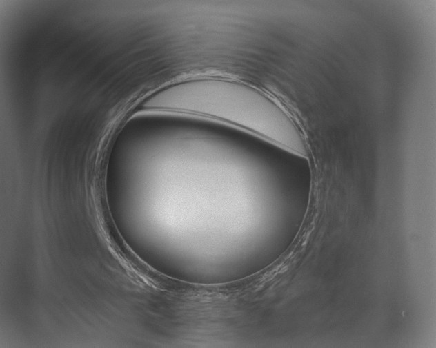 X0000074320193200608251039