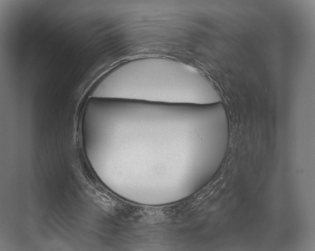 X0000074320194200608251039
