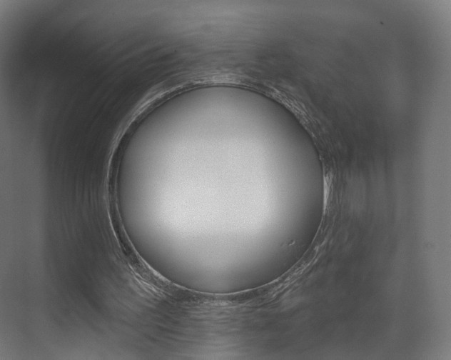 X0000074320195200608251039