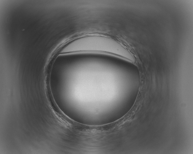 X0000074320197200608251039