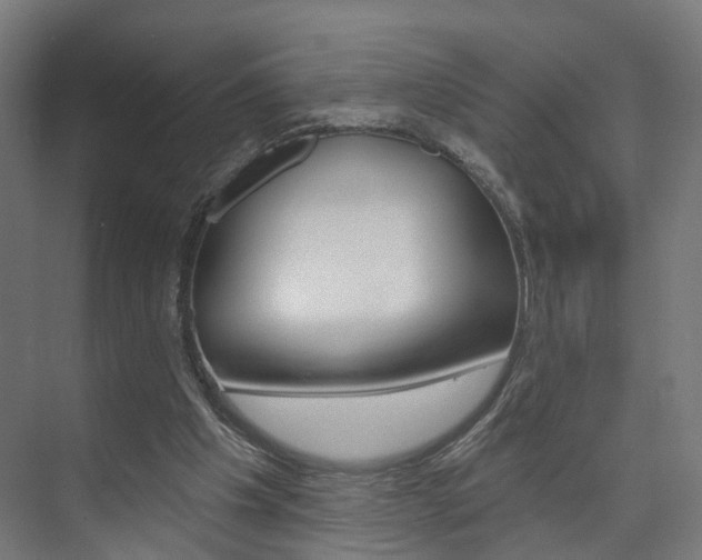 X0000074320201200608251039