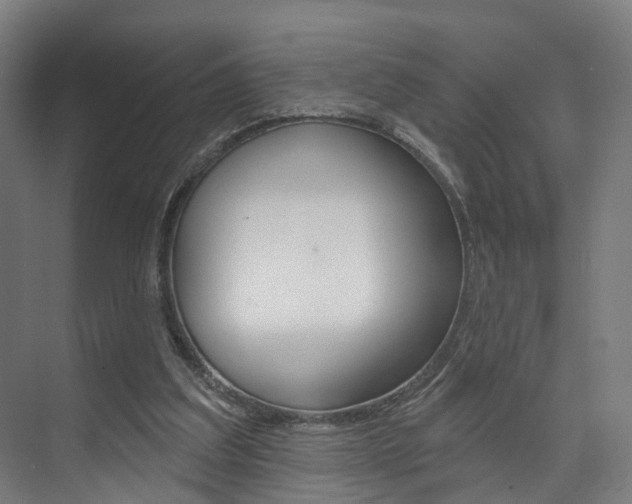 X0000074320203200608251039