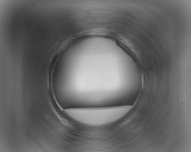 X0000074320205200608251039