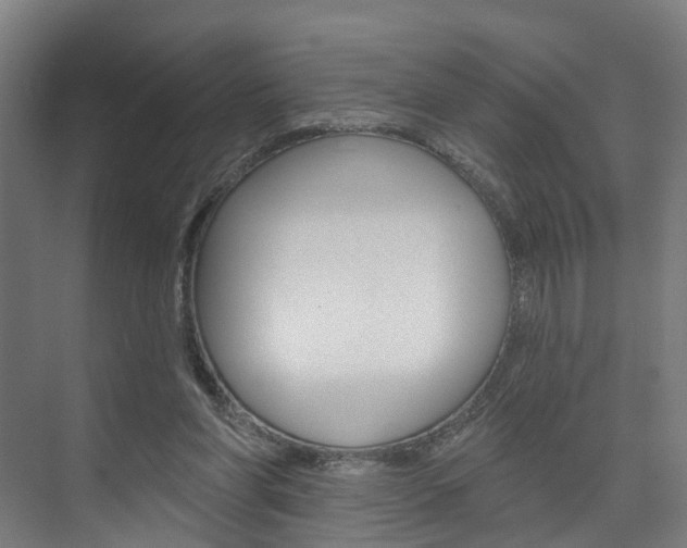 X0000074320206200608251039