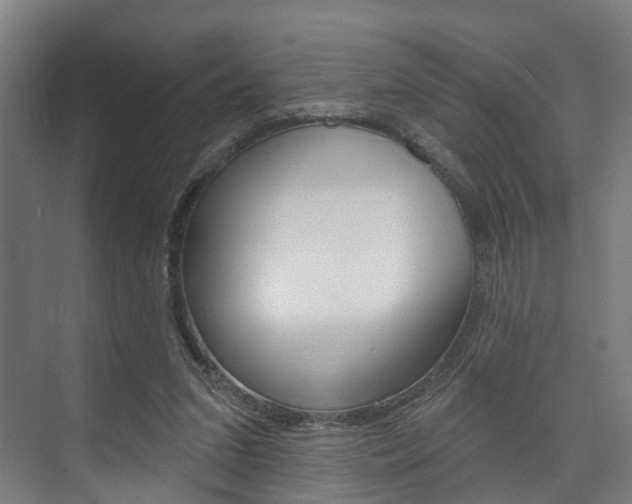 X0000074320207200608251039