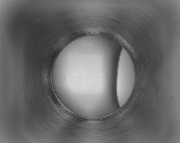 X0000074320209200608251039