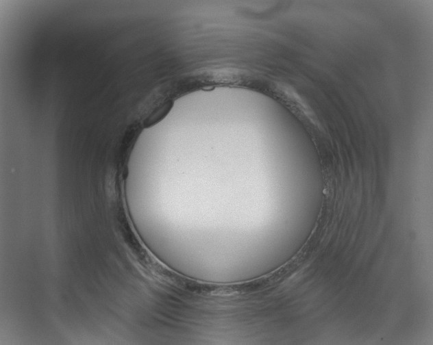 X0000074320213200608251039