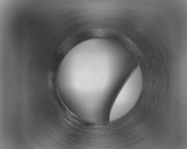 X0000074320217200608251039