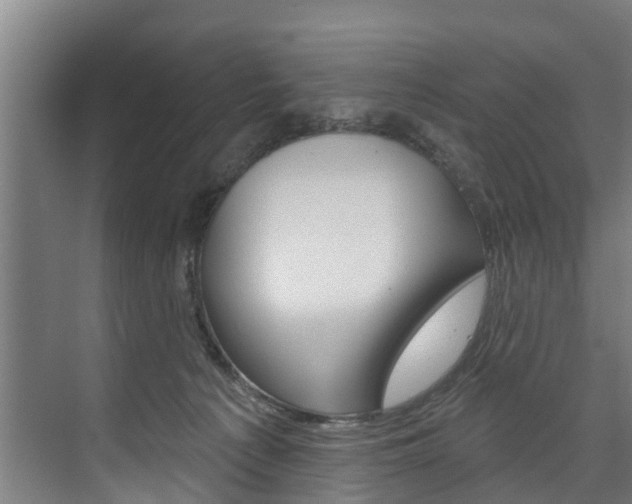 X0000074320225200608251039