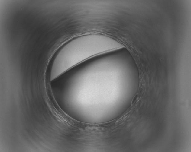 X0000074320242200608251038