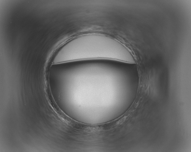X0000074320245200608251038