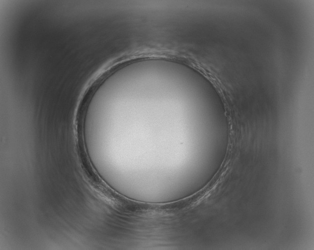 X0000074320246200608251038