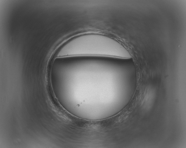 X0000074320247200608251038