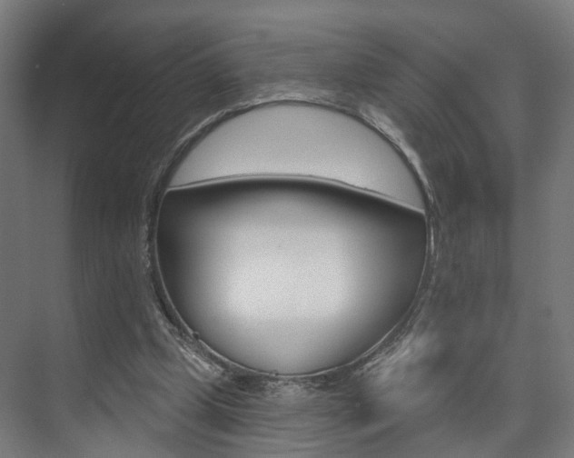 X0000074320249200608251038
