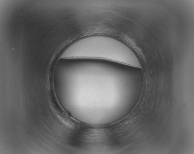 X0000074320250200608251038