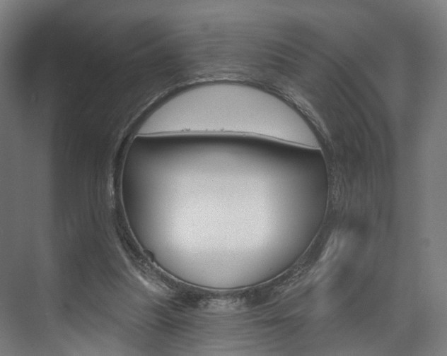 X0000074320251200608251038
