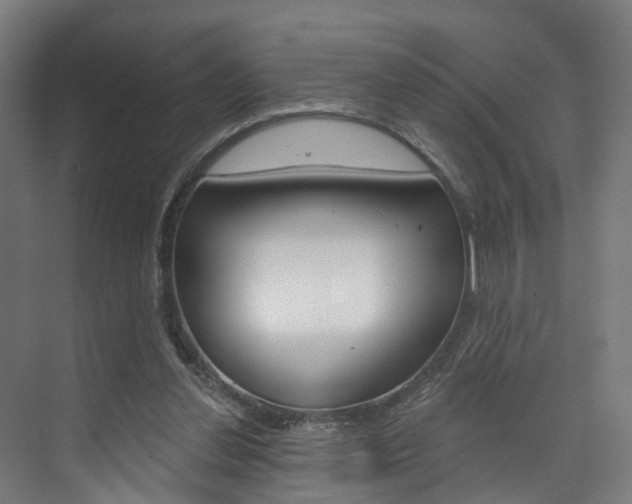 X0000074320252200608251038