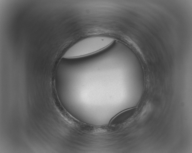 X0000074320257200608251038