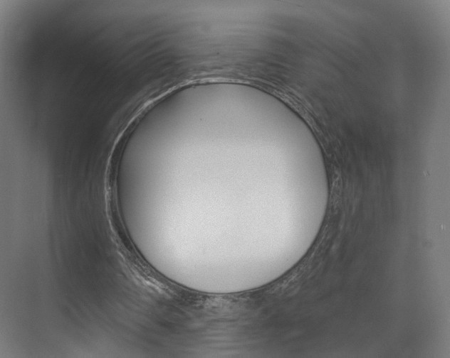 X0000074320290200608251038