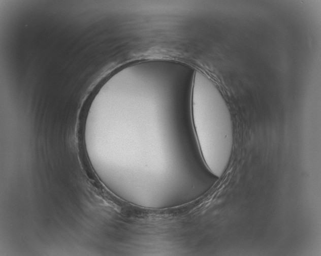 X0000074320292200608251038