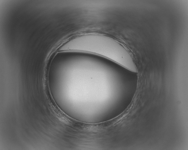 X0000074320293200608251038