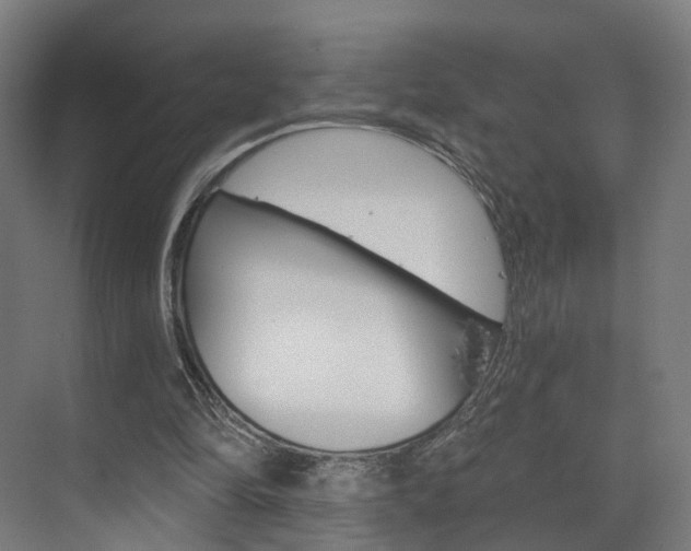 X0000074320294200608251038