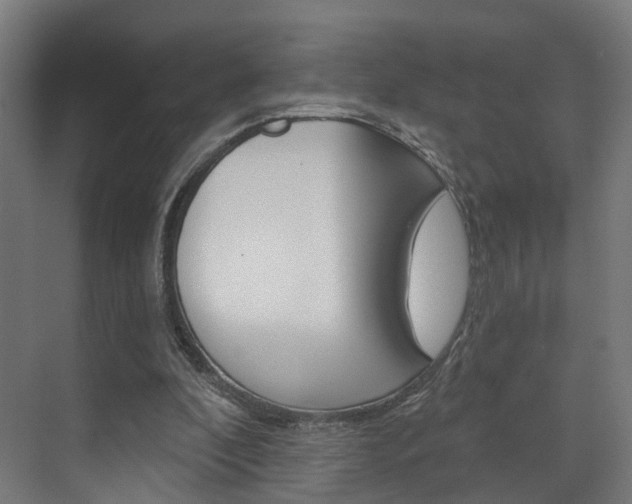 X0000074320296200608251037