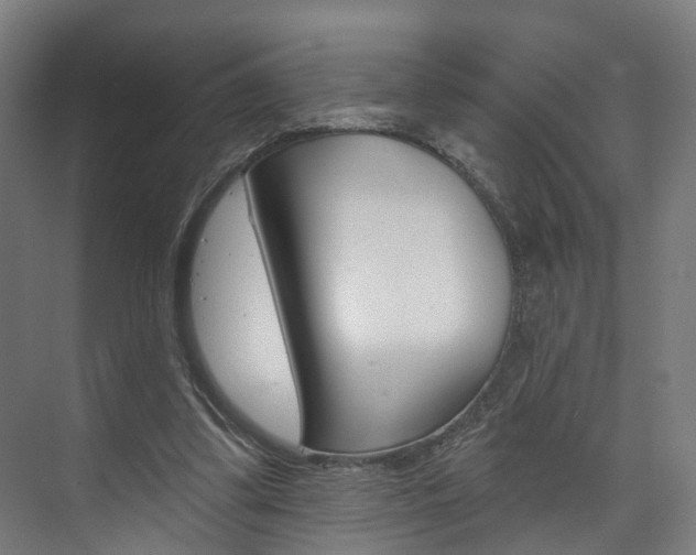 X0000074320299200608251037