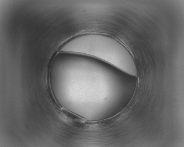 X0000074320301200608251037