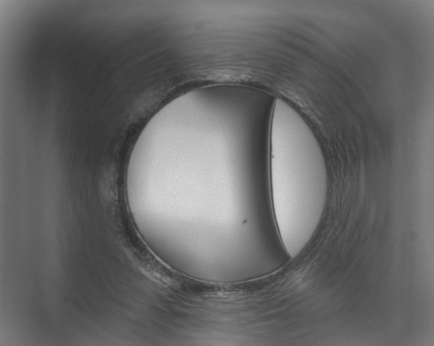 X0000074320303200608251037