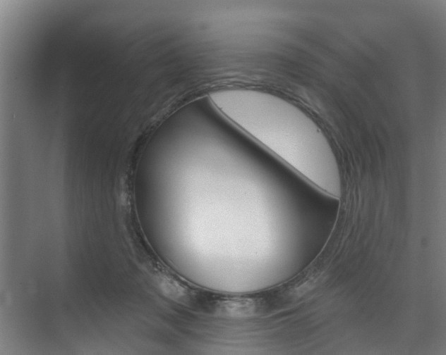 X0000074320317200608251037