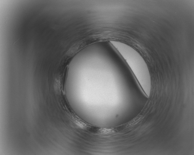 X0000074320333200608251037